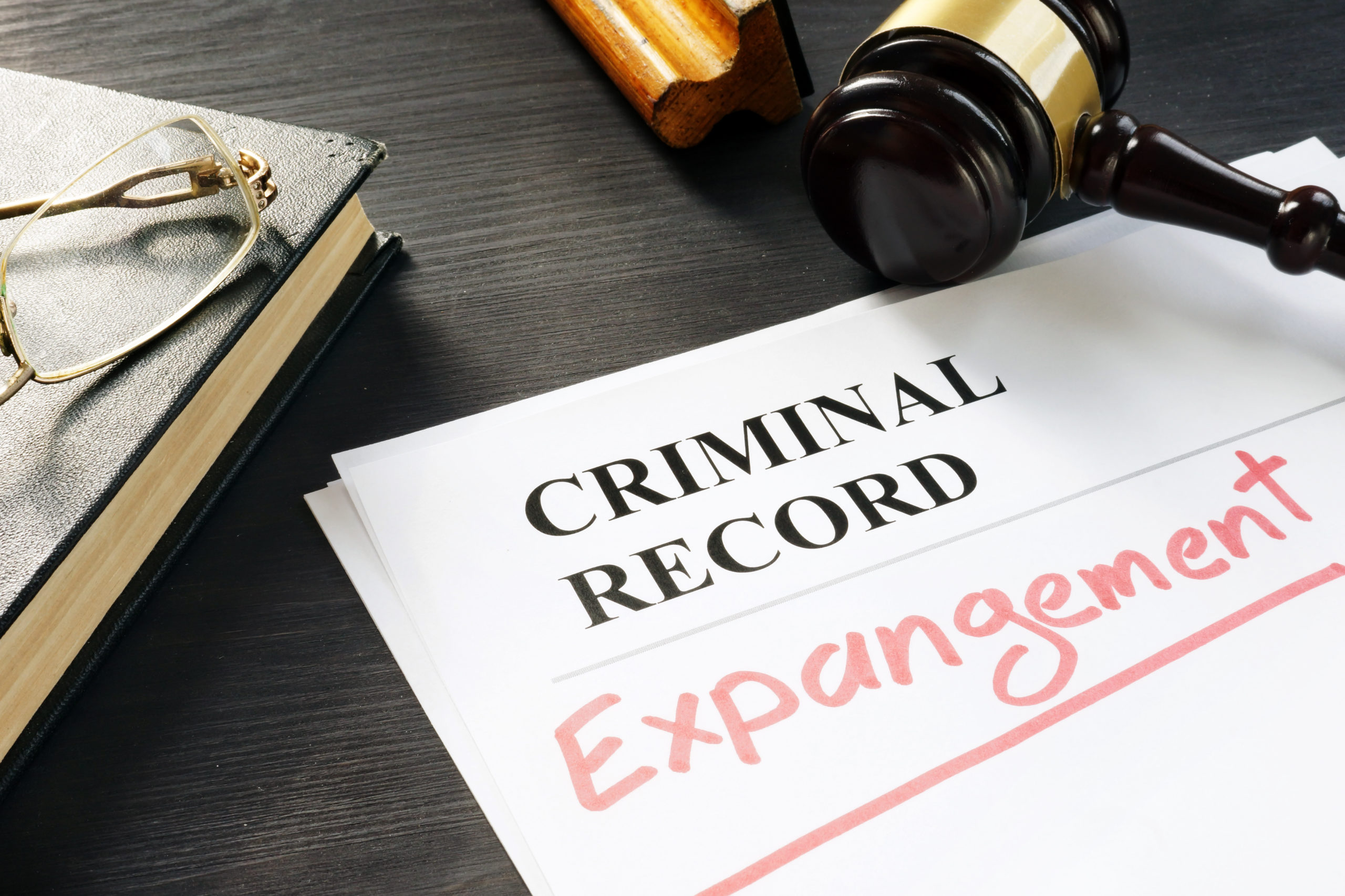 criminal record expungement document